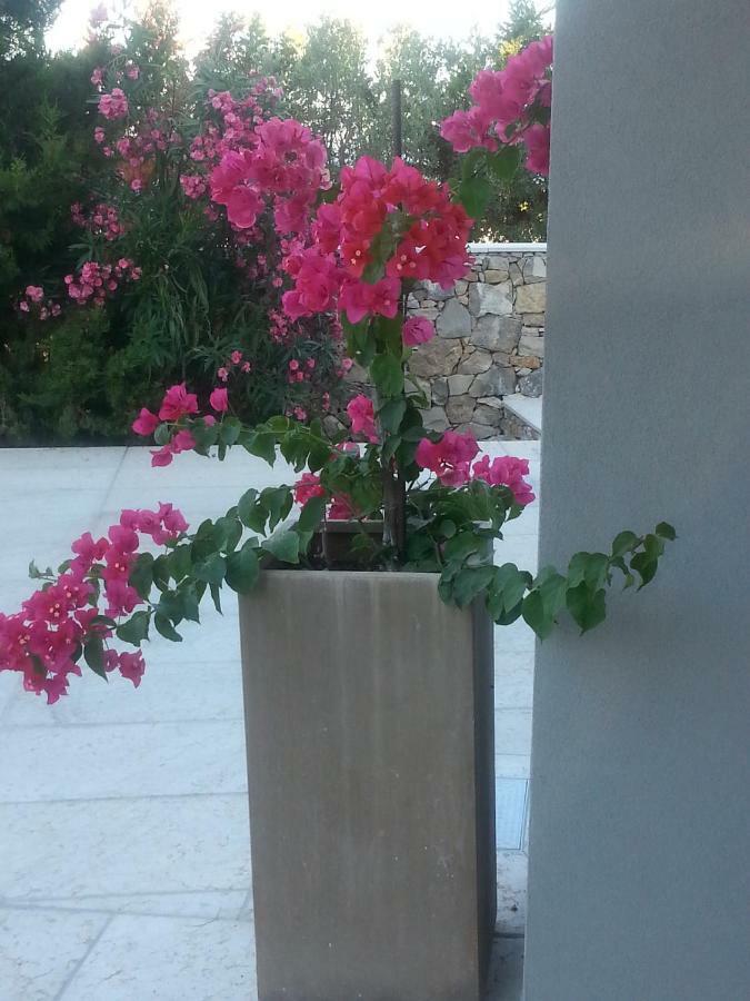 Villa Cà del Mar Morciano di Leuca Exterior foto