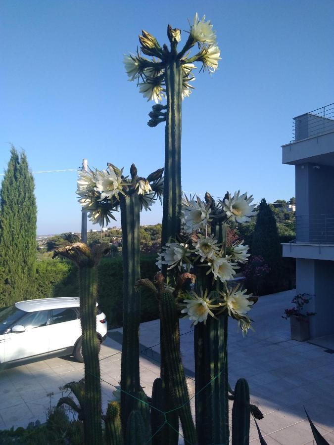 Villa Cà del Mar Morciano di Leuca Exterior foto